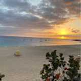 Ainhoa L. avatar icon