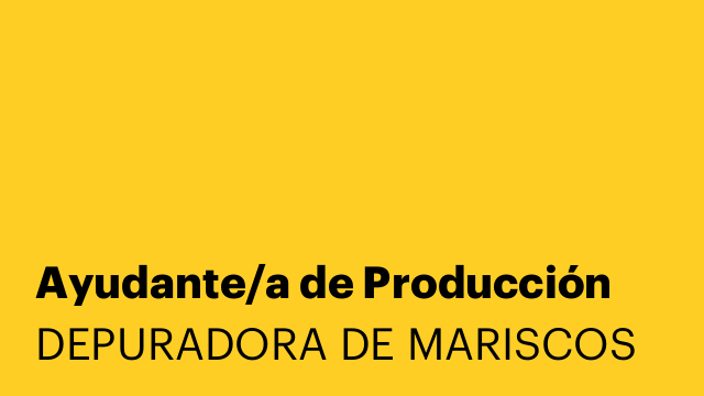 Ayudante/a de Producción