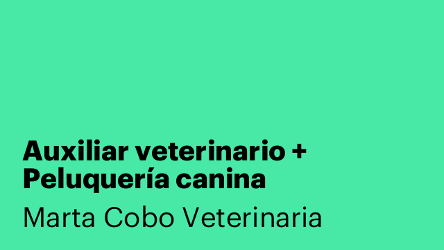 Auxiliar veterinario + Peluquería canina