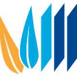 Jose S. avatar icon