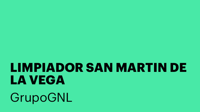 LIMPIADOR SAN MARTIN DE LA VEGA