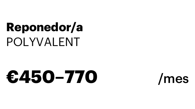 Reponedor/a