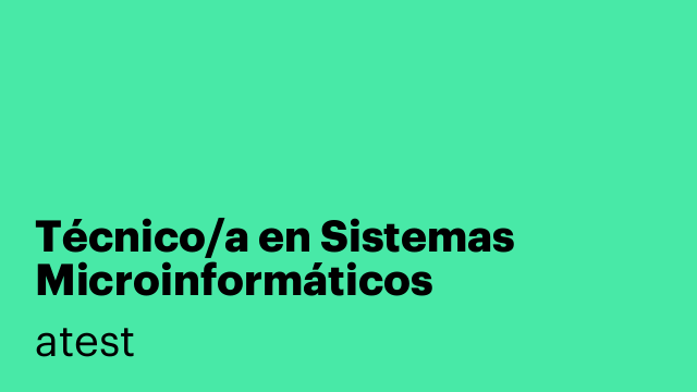 Técnico/a en Sistemas Microinformáticos