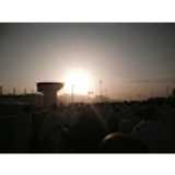 Ashfack A. avatar icon