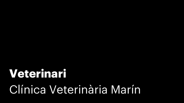 Veterinari