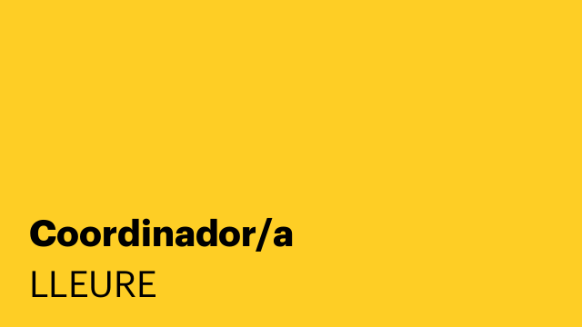 Coordinador/a