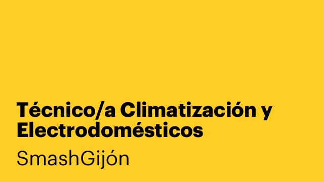 Técnico/a Climatización y Electrodomésticos