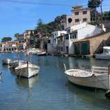 Juan Pedro C. avatar icon