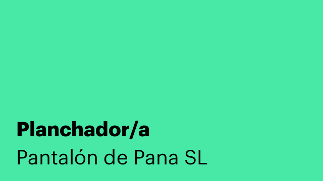 Planchador/a