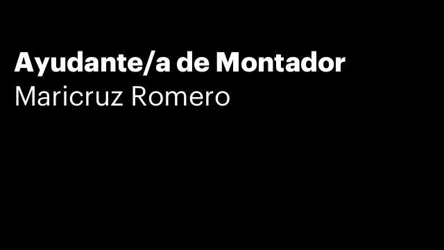 Ayudante/a de Montador