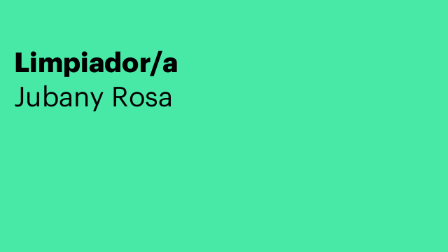 Limpiador/a