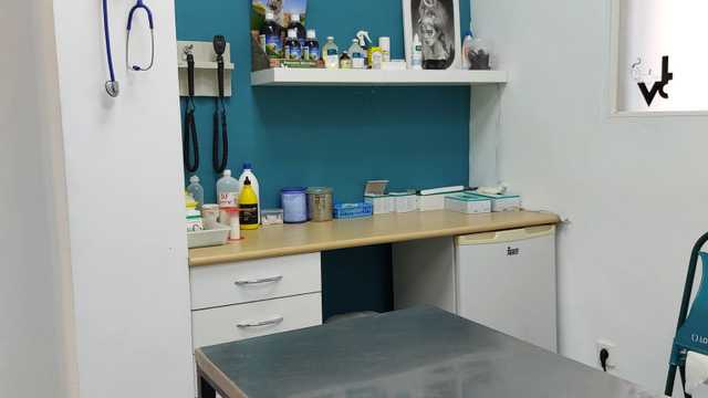 Veterinario/a