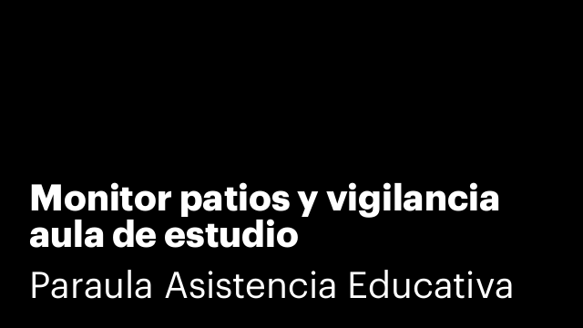 Monitor patios y vigilancia aula de estudio