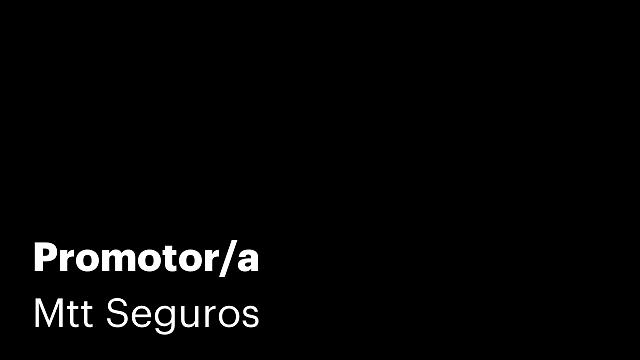 Promotor/a