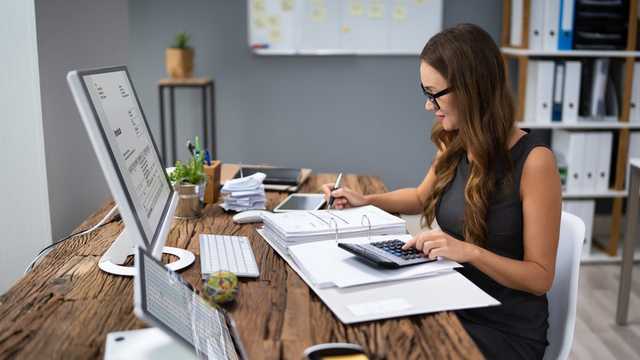 Auxiliar Contable/Contable