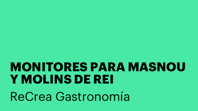 MONITORES PARA MASNOU Y MOLINS DE REI