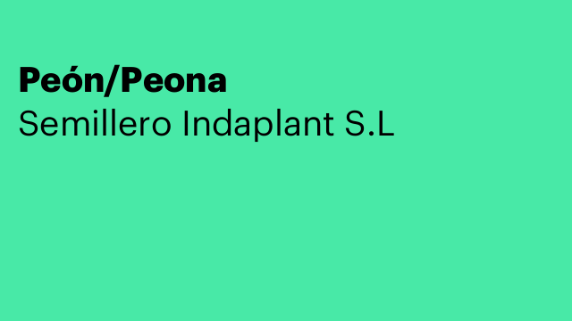 Peón/Peona