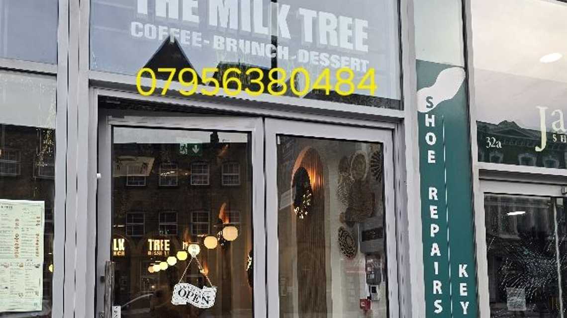 THE MILK TREE cover image