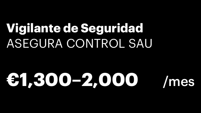 Vigilante de Seguridad