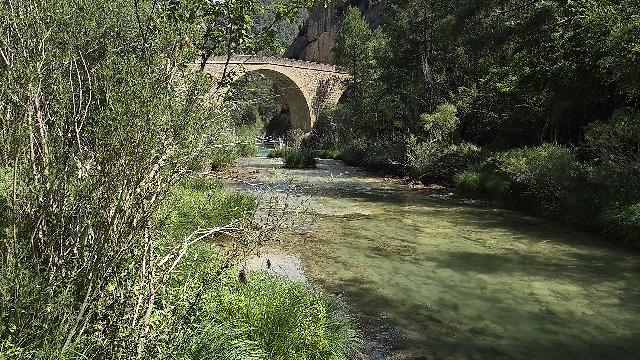 Camarero/a