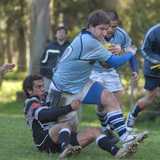 Felipe R. avatar icon