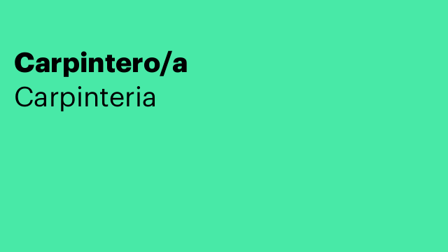 Carpintero/a