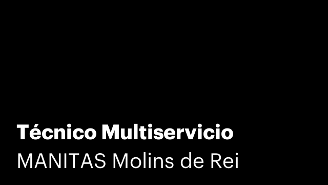 Técnico Multiservicio