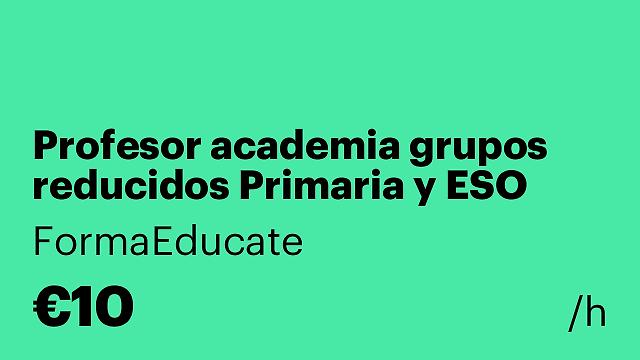 Profesor academia grupos reducidos Primaria y ESO