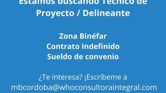 Tecnico de proyecto / Delineante