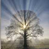 Cutting the UK Ltd East Sussex & Kent avatar icon