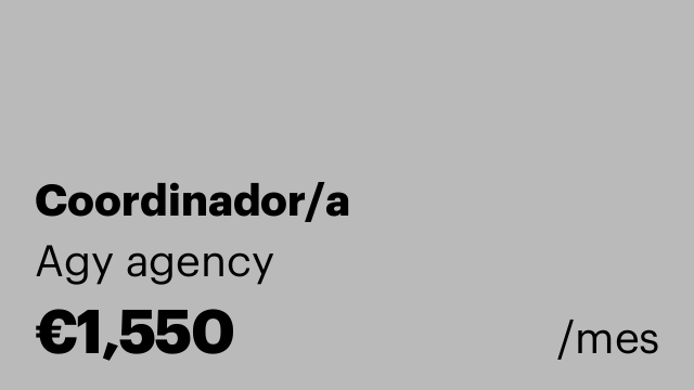 Coordinador/a