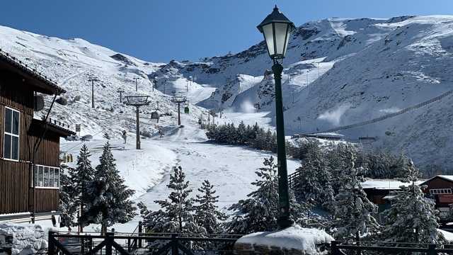 Camarero/a de Restaurante