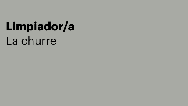 Limpiador/a