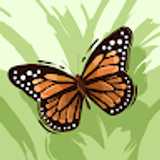 Nina A. avatar icon