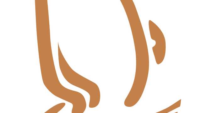 Camarero/a de Restaurante con experiencia (jefe de rango)