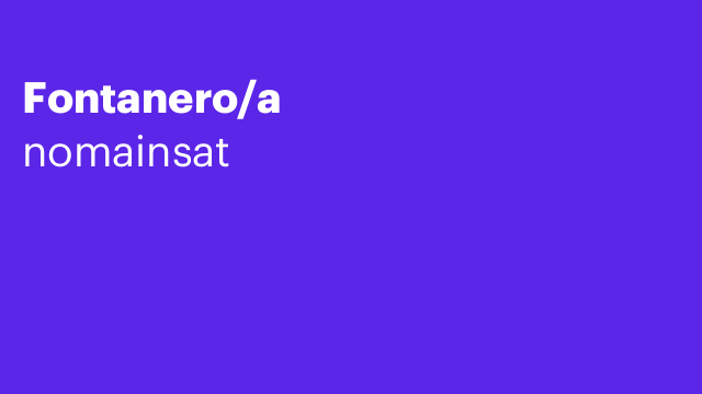 Fontanero/a
