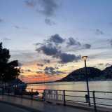 Fayza L. avatar icon