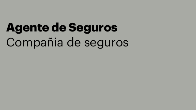 Agente de Seguros