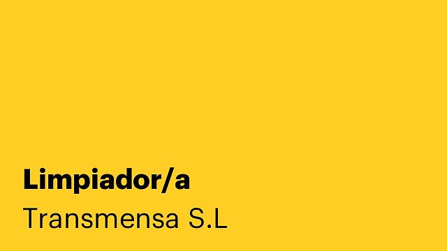 Limpiador/a
