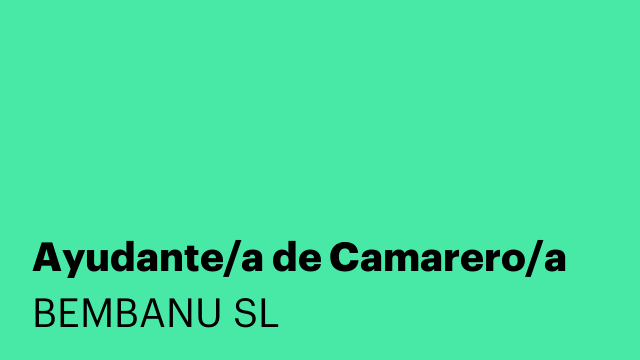 Ayudante/a de Camarero/a