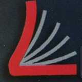 Academia Plus  logo