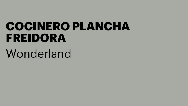 COCINERO PLANCHA FREIDORA