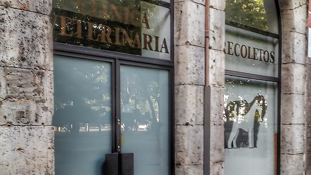 Veterinario/a