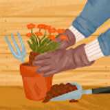 Rosalen G. avatar icon