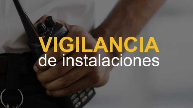Vigilante de Seguridad