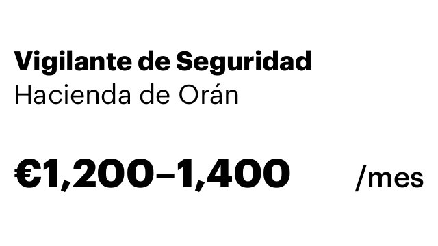 Vigilante de Seguridad