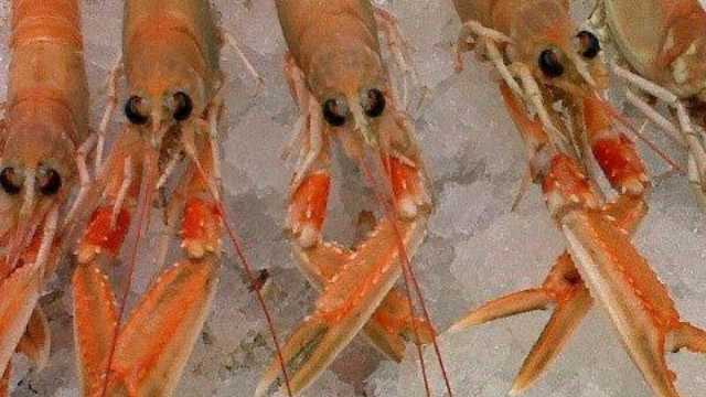 Cocinero/a Restaurante