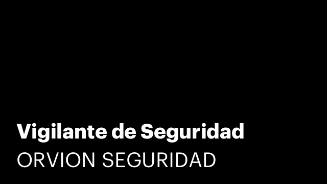 Vigilante de Seguridad