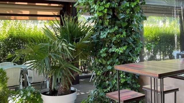 Ayudante/a de Cocina y Office
