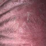 avatar icon